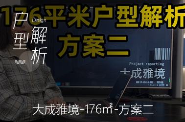 金地大成雅境176平米方案二装修户型解析